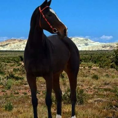 Габиден Ибрайымкулов, 04.05.1985, Алматы