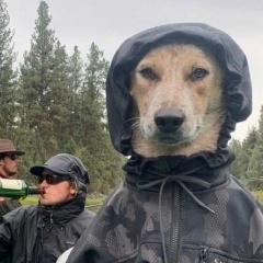 Фил Филыч, 22.01.2001