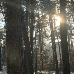 Татьяна Завертяева, Омск