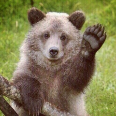 Михаил Ребров, 07.06, Чехов