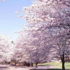 Амира Туркебаева, 20.08.1979, Алматы