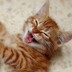 Алинур Куманова, Томск