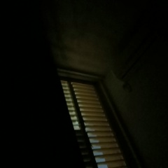 Яков Гимельштейн