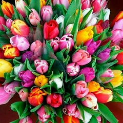 Мария Семина, 07.03.1982, Тюмень