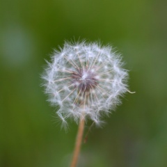 Максим Камушкин, 13.04, Ростов-на-Дону