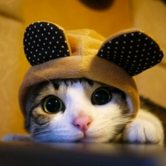 Milena Stolz, 01.09.1991, Термез