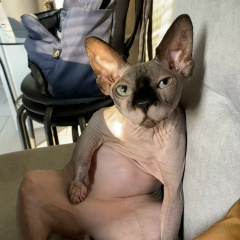 Александр Федоров, 08.09