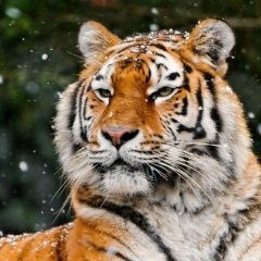 Ерлан Жамир, 26.09.1989, Алматы