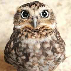 Mariya Kirpichenko, 14.10.1984, Петрозаводск