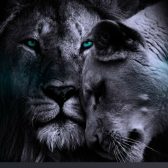 Олжас Айтходжаев, 13.11.1990