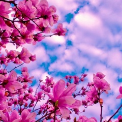 Залина Разова, 05.07.1988