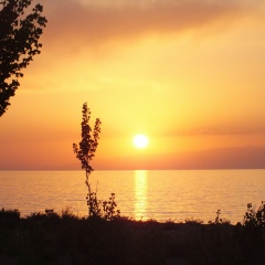 Zhypara Abdieva, 03.09.1996, Бишкек