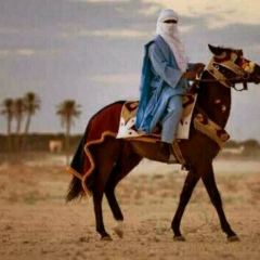 No Name, 07.01.1991, Грозный