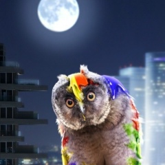 Ольга Гордеева, 02.01, Москва