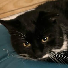 Skrudg Magdag, 11.01.1982, Санкт-Петербург