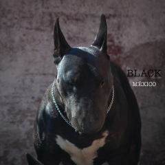 Руслан Знищенко, 18.08, Актау