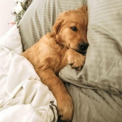 Laura Baimuhanova, 23.04