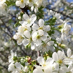 Анастасия Агафонова, 08.08, Агрыз