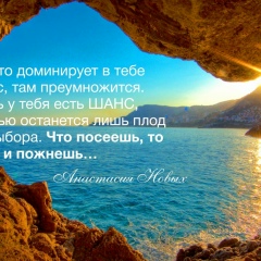 Невероятные Факты
