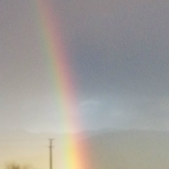 Kara Tokat, 20.09.1971, Adana