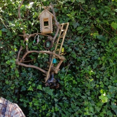 Рая Полякова, 05.03.1901, Северодвинск