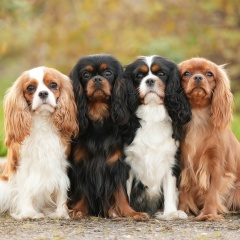 Юля Кузикова, 10.12.1976