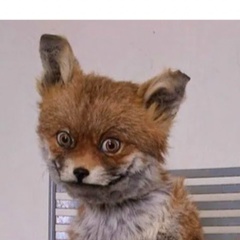 Антонъ Антонов, 19.08, Москва