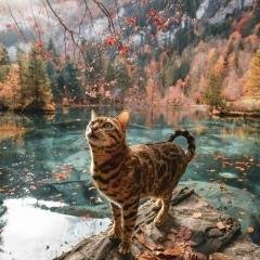 Айнур Санаубарова, 24.01