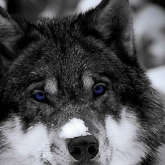 Сергей Филиппов, 07.12.1991, Тюмень