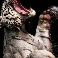 Aleksey Nikishenkin, 20.12, Зеленоград