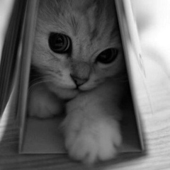 Инна Терлецкая, Винница