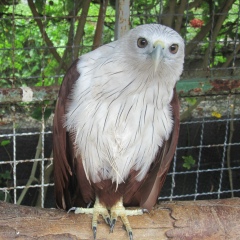 Олег Зильбович, 16.01, Новосибирск