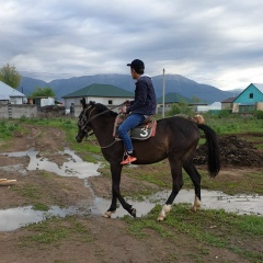 Ердос Жолдасов, 26.04, Алматы
