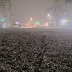 Алексей Трапезников, 23.08, Северодвинск