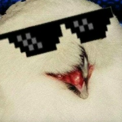 Pedro Henrique, 27.02.1901, Ibitinga