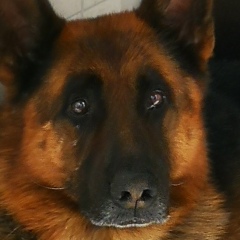 Сергей Вахрушев, 28.04, Москва