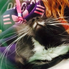 Виктория Вельтищева, 08.12.1992, Санкт-Петербург