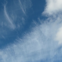 Сергей Оладько, 14.02.1984, Киев