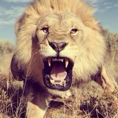 Мпйд-Мохьмад Исаев, 27.08.2002, Грозный