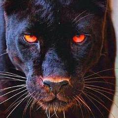 Жандос Ахметов, 05.01