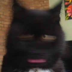 Владимир Александрович, 15.05.1981, Москва