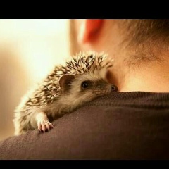 Айдана Абдугалиева, 12.12.1988, Каратау