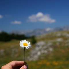 Елена Ломова, Москва