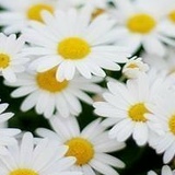 Ольга Филимонова, 07.01, Абакан