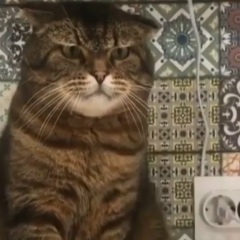 Максим Григорьев, 11.06.1992