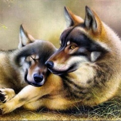 Динара Мергенбаева, 21.02.1986, Алматы