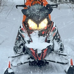 Никита Челюк, Новосибирск