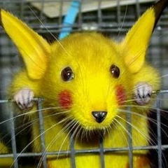 Видади Махмудов, 07.11, Железногорск