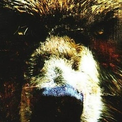 Павел Бурый, 13.10.1981, Химки