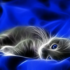 Олеся Слободянюк, 11.09.1984, Махачкала